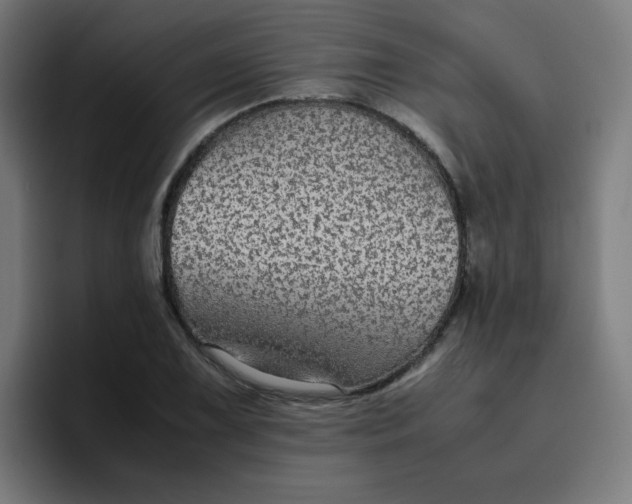 X0000096731075200802191544