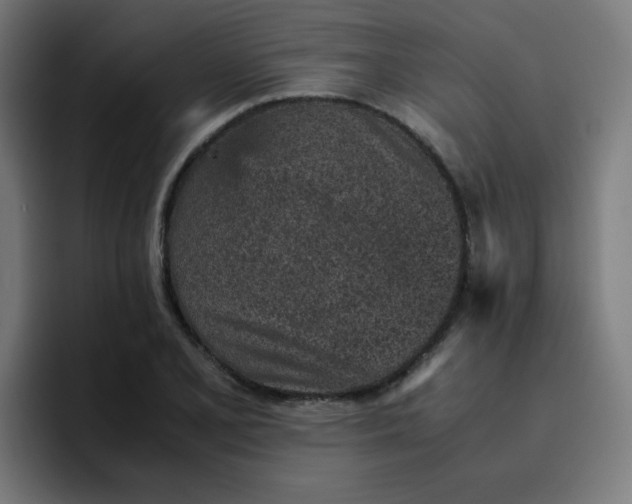 X0000096731077200802191544
