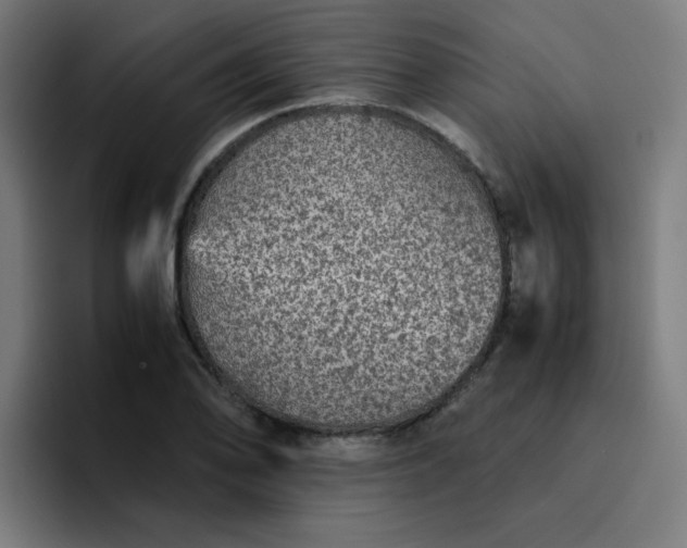 X0000096731078200802191544
