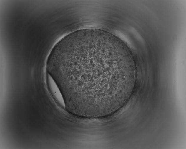 X0000096731079200802191543