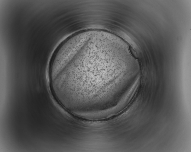 X0000096731084200802191543