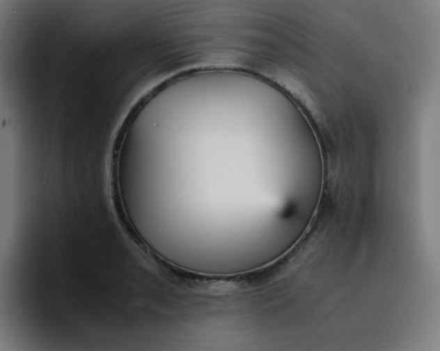 X0000096731085200802191543