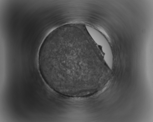 X0000096731087200802191543