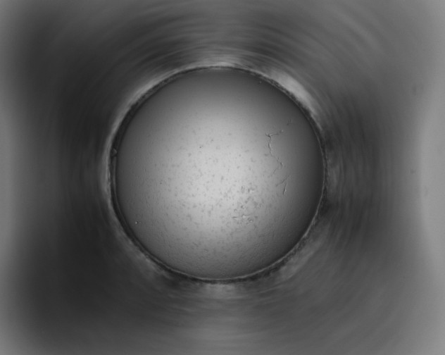 X0000096731088200802191543