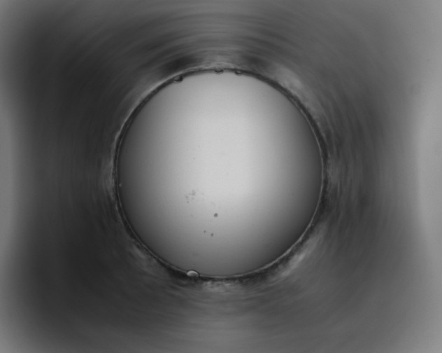 X0000096731089200802191543