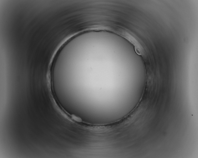 X0000096731092200802191543
