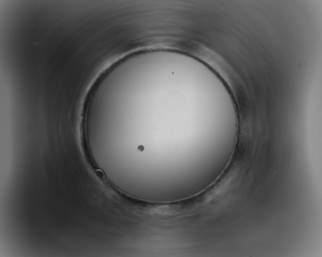 X0000096731093200802191543