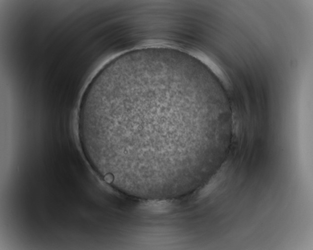 X0000096731094200802191543