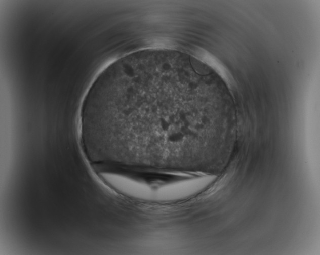 X0000096731095200802191543