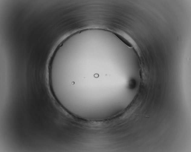 X0000096731096200802191543