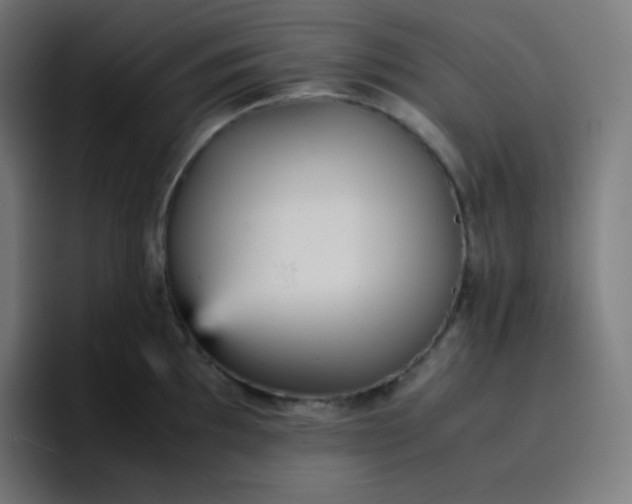 X0000096731097200802191543