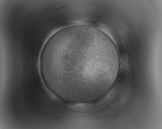 X0000096731098200802191543