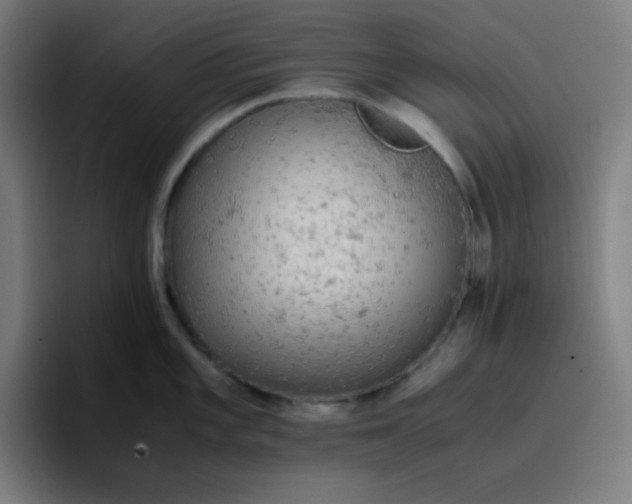 X0000096731101200802191543