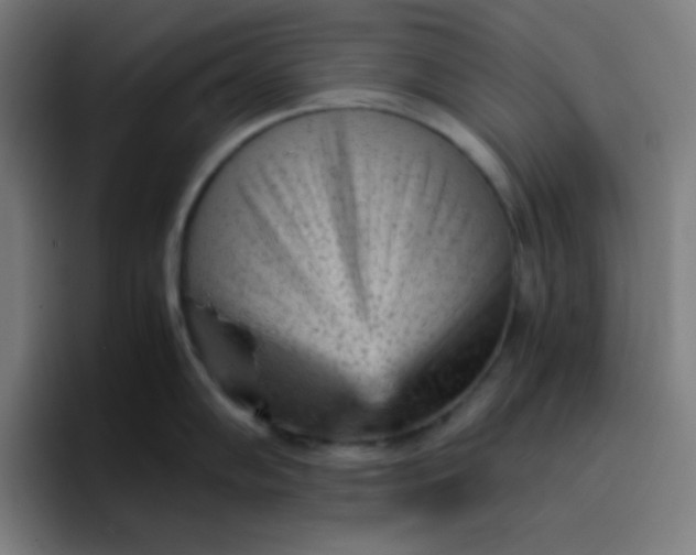 X0000096731102200802191543