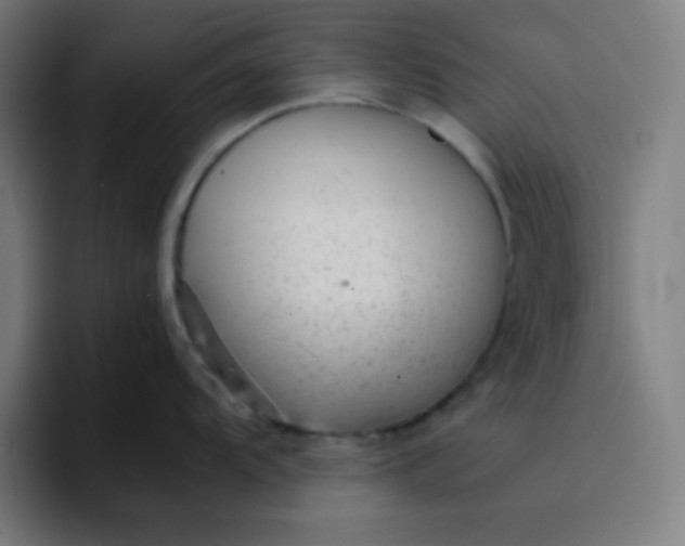 X0000096731104200802191543