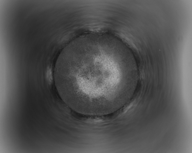 X0000096731106200802191543