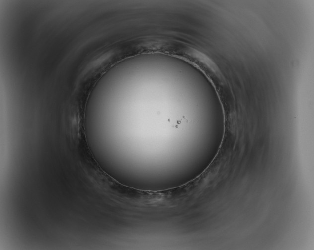 X0000096731111200802191543