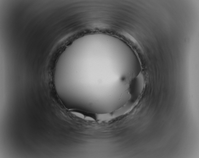 X0000096731112200802191543