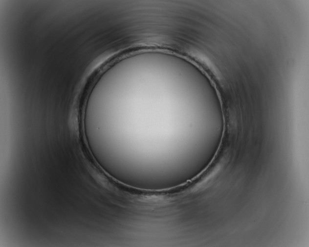 X0000096731114200802191543