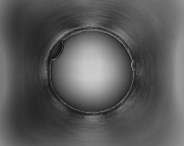 X0000096731118200802191543