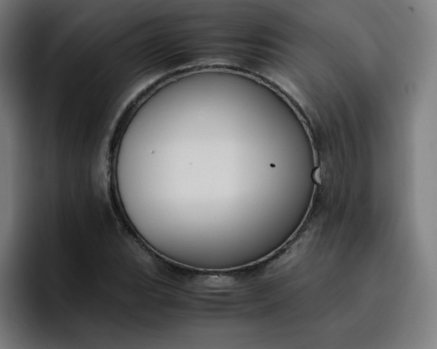 X0000096731119200802191543