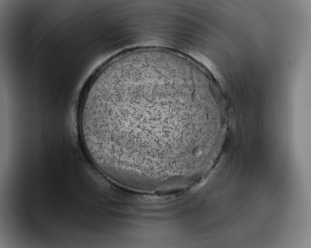 X0000096731120200802191543