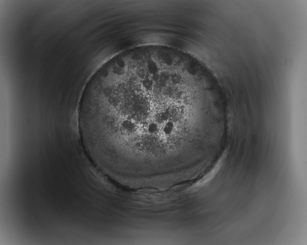 X0000096731121200802191543