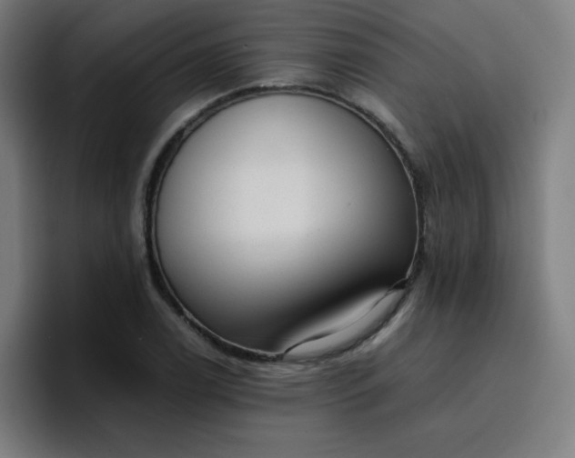 X0000096731122200802191543