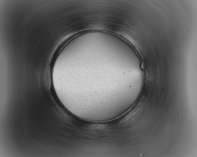 X0000096731123200802191543