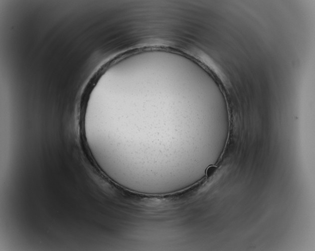 X0000096731124200802191543