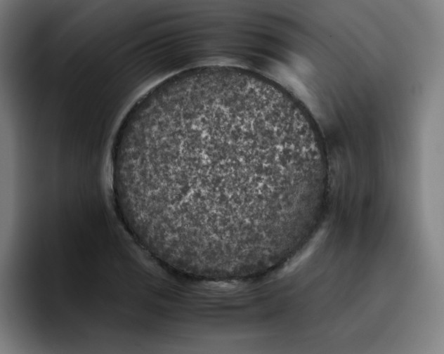 X0000096731125200802191543