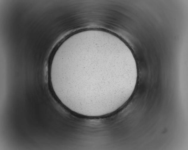 X0000096731126200802191543