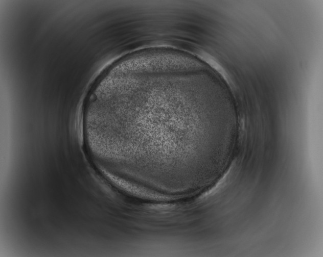 X0000096731127200802191543