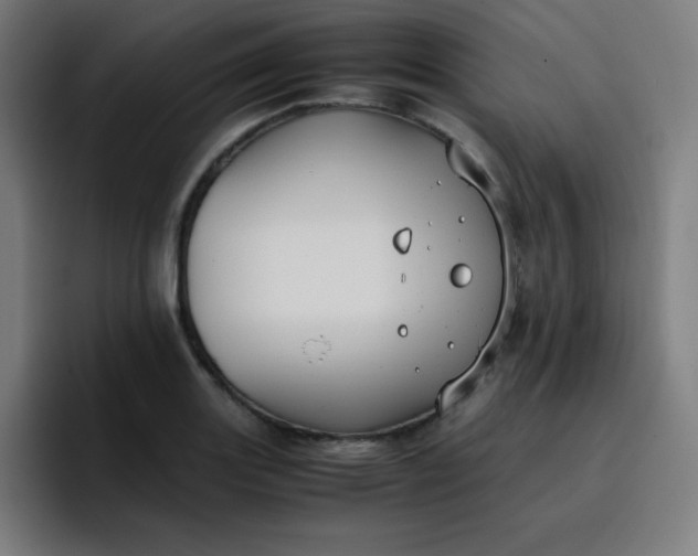 X0000096731131200802191543