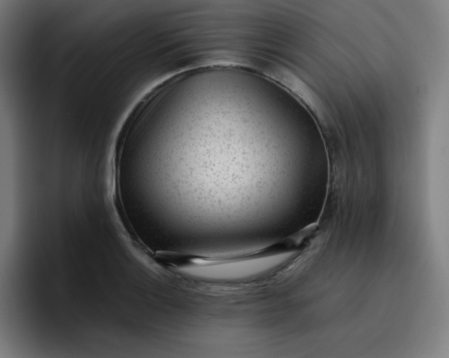 X0000096731132200802191543