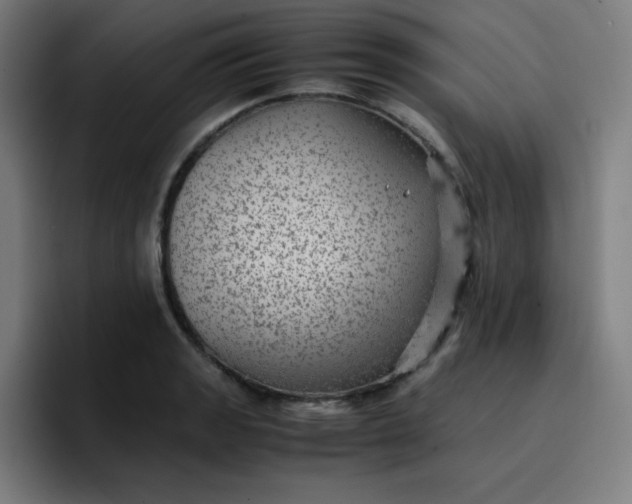 X0000096731133200802191543