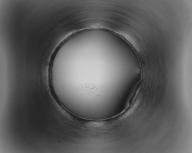 X0000096731134200802191543