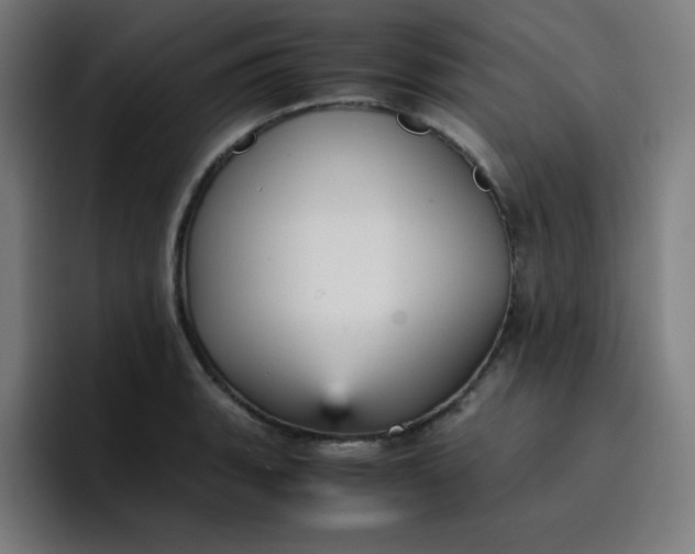 X0000096731135200802191543
