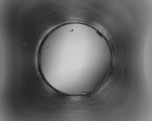 X0000096731136200802191543