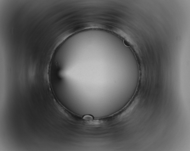 X0000096731137200802191543