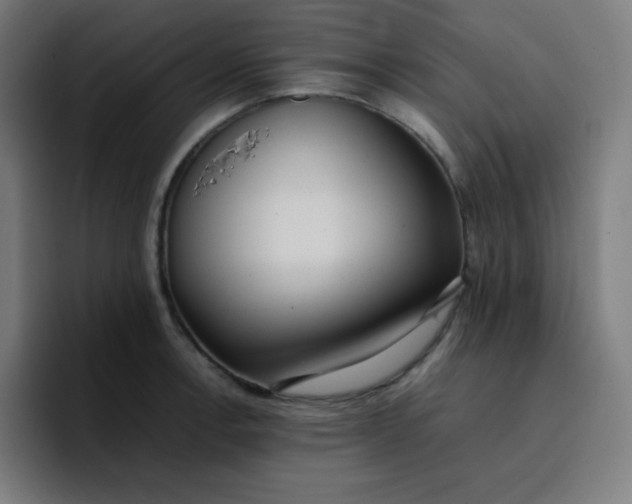 X0000096731138200802191543