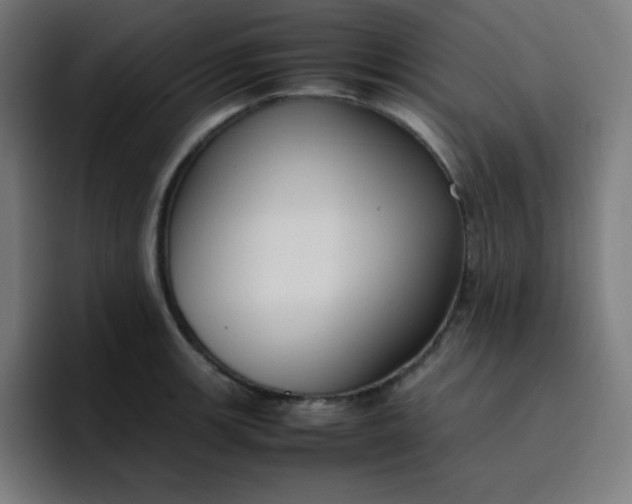 X0000096731139200802191543