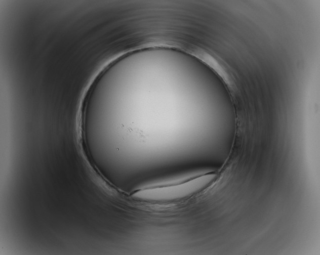 X0000096731140200802191543