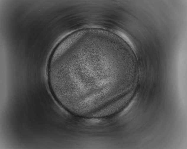 X0000096731141200802191543
