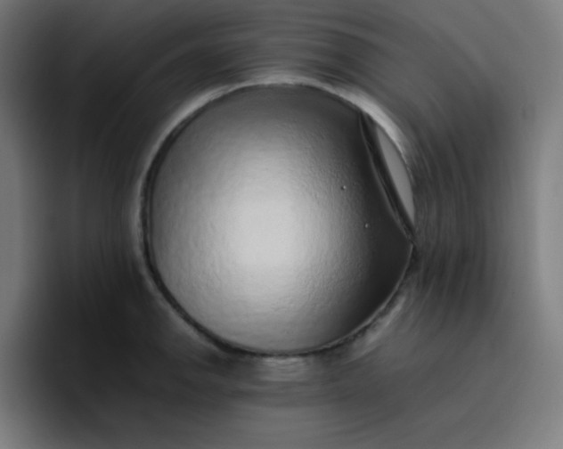 X0000096731142200802191543