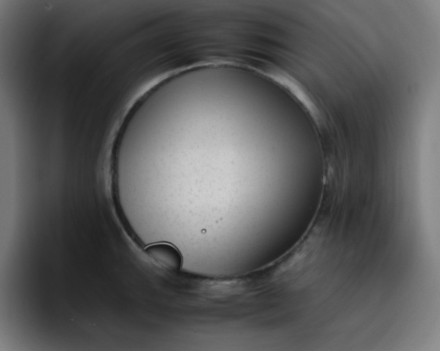 X0000096731143200802191543