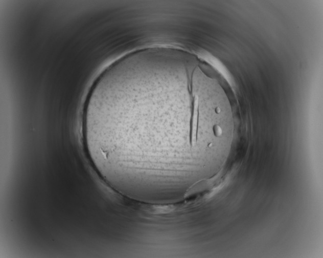 X0000096731144200802191543