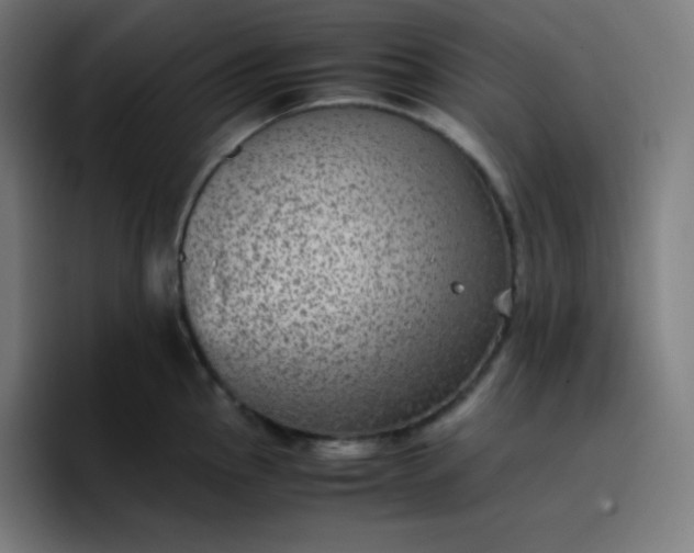 X0000096731145200802191543
