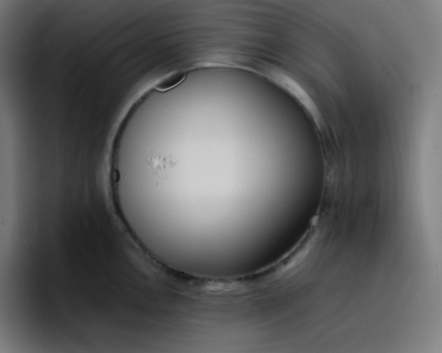 X0000096731146200802191543