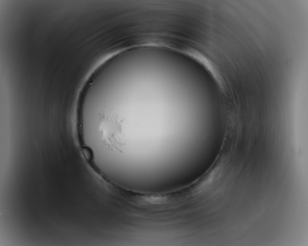 X0000096731147200802191543